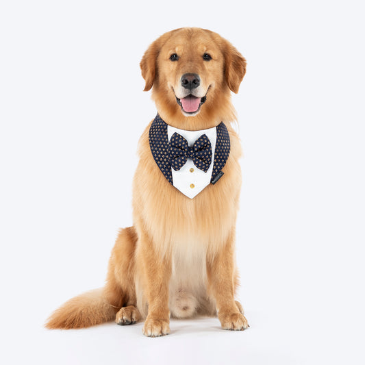 HUFT Shahi Paws Tuxedo Bandana For Dog - Blue