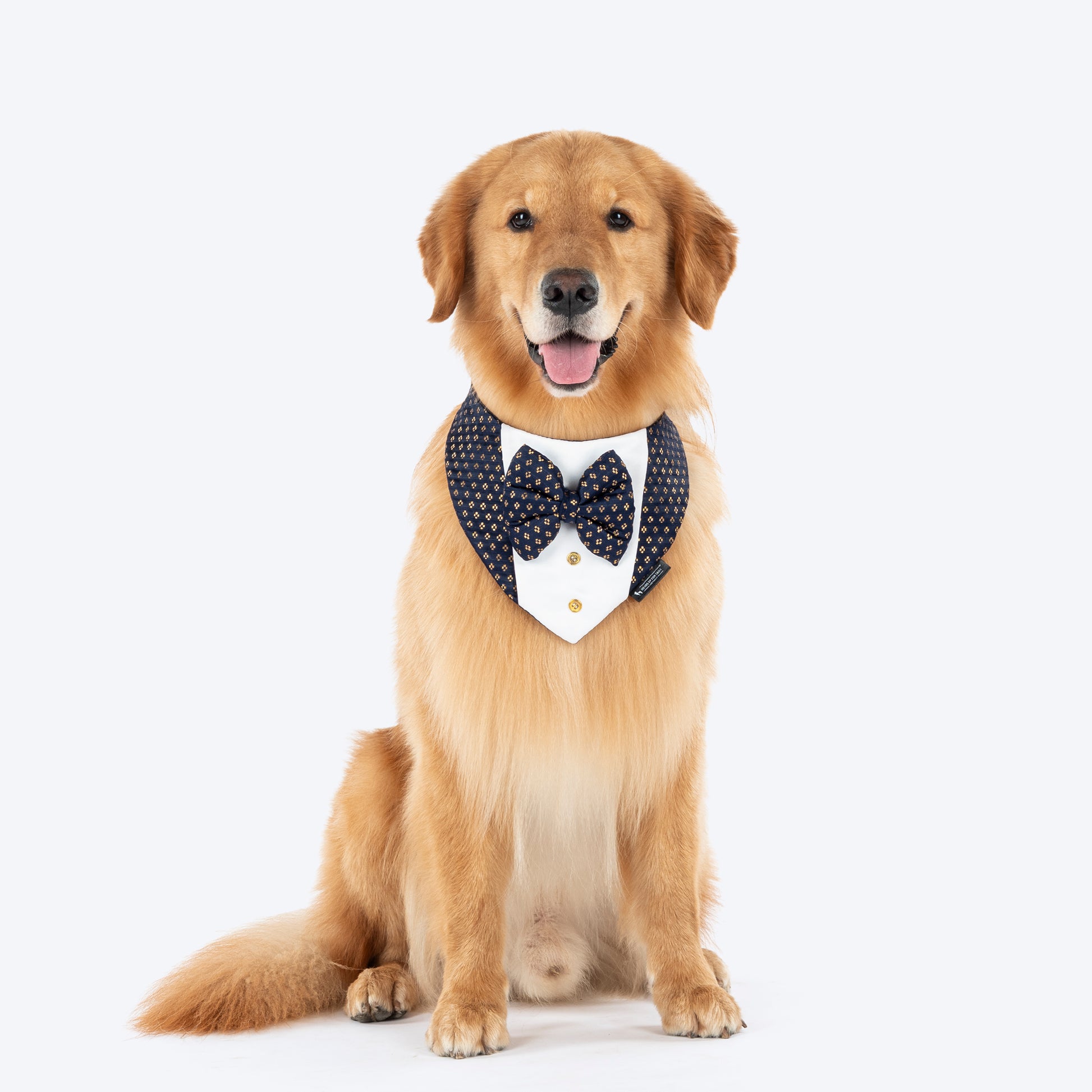 HUFT Shahi Paws Tuxedo Bandana For Dog - Blue - Heads Up For Tails