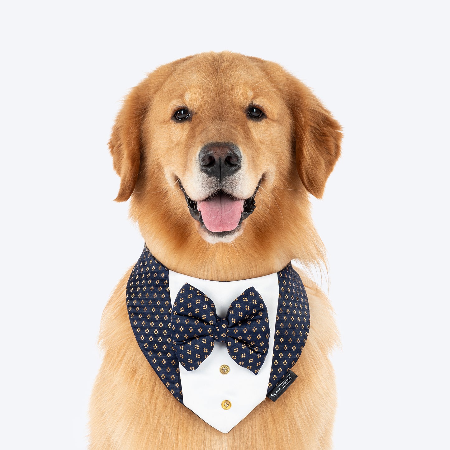 HUFT Shahi Paws Tuxedo Bandana For Dog - Blue - Heads Up For Tails