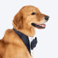 HUFT Shahi Paws Tuxedo Bandana For Dog - Blue - Heads Up For Tails