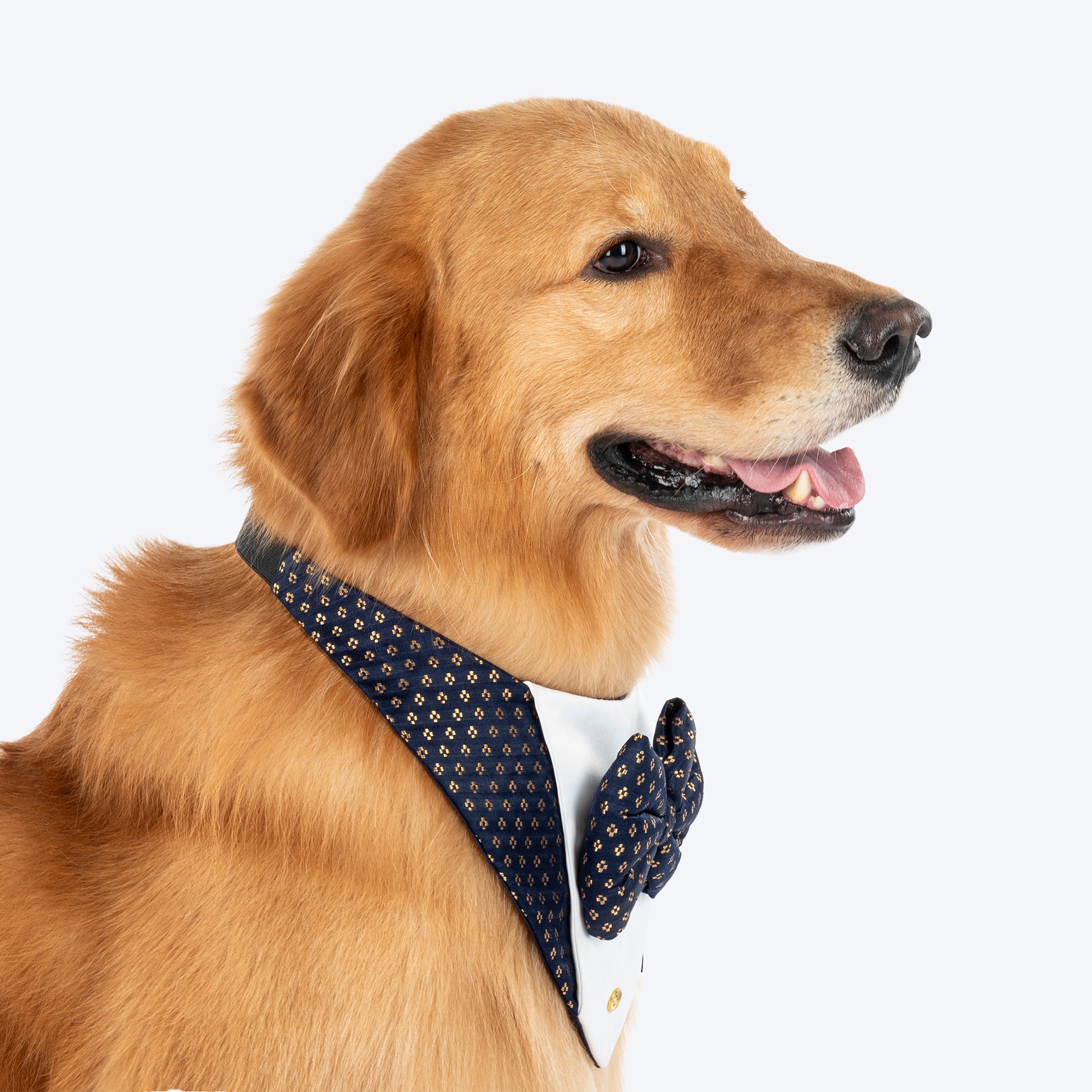 HUFT Shahi Paws Tuxedo Bandana For Dog - Blue - Heads Up For Tails