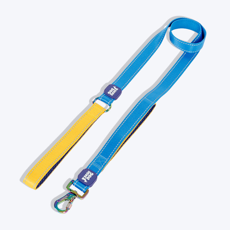 Dash Dog Dual Handle Leash For Dog - Royal Blue & Yellow