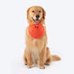HUFT Royal Elephant Bandana For Dog - Orange - Heads Up For Tails