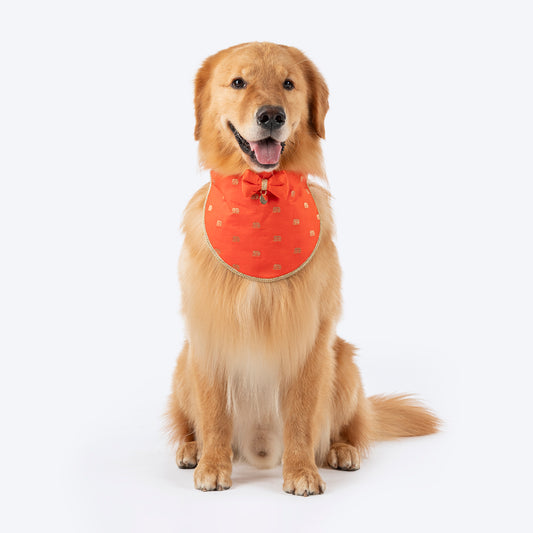 HUFT Royal Elephant Bandana For Dog - Orange