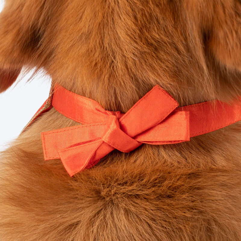HUFT Royal Elephant Bandana For Dog - Orange - Heads Up For Tails