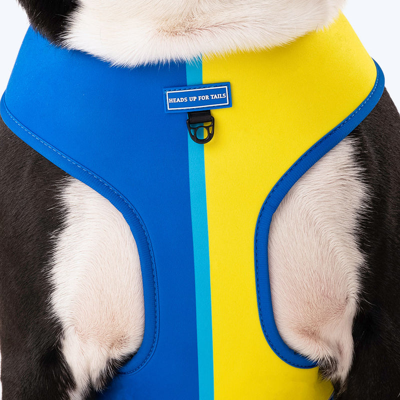 HUFT Blazing Blue Dog Reversible Harness_07