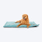 HUFT Sniff The Love Mat For Dog - Light Blue - Heads Up For Tails