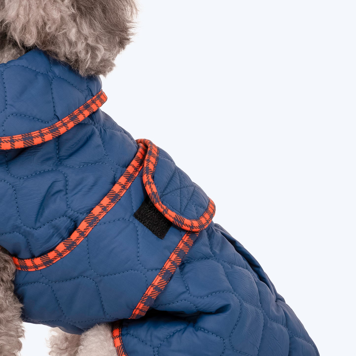 HUFT Grrberry Quilted Dog Jacket - Teal Blue - Heads Up For Tails
