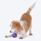 Dash Dog Crunch Munch Ball Toy For Dog - Purple & Blue_03