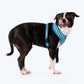 HUFT Blazing Blue Dog Reversible Harness_04