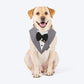 HUFT Pooch in a Suit Bandana For Dog - Grey