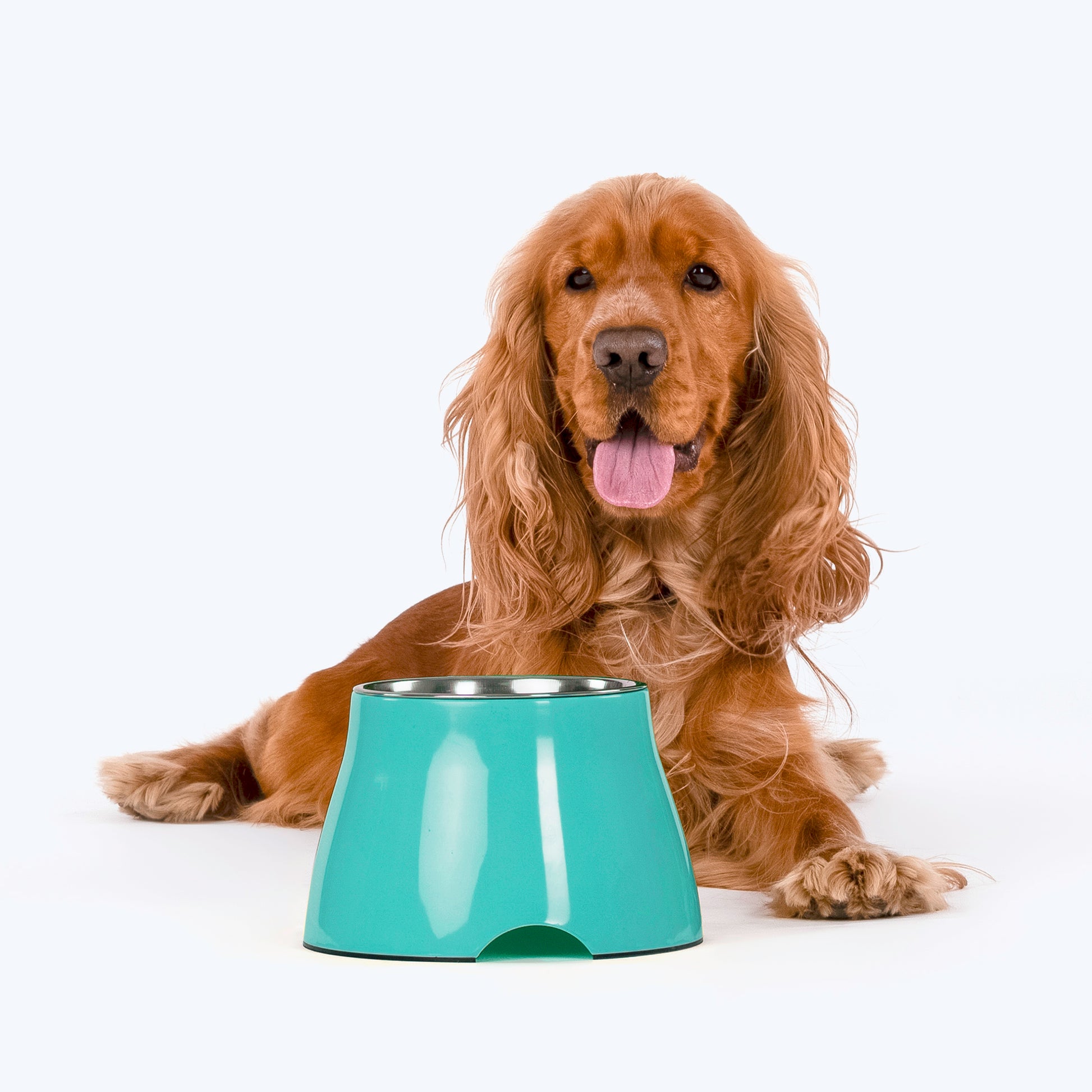 HUFT Elevated Bowl For Dogs & Cats - Aqua - Heads Up For Tails