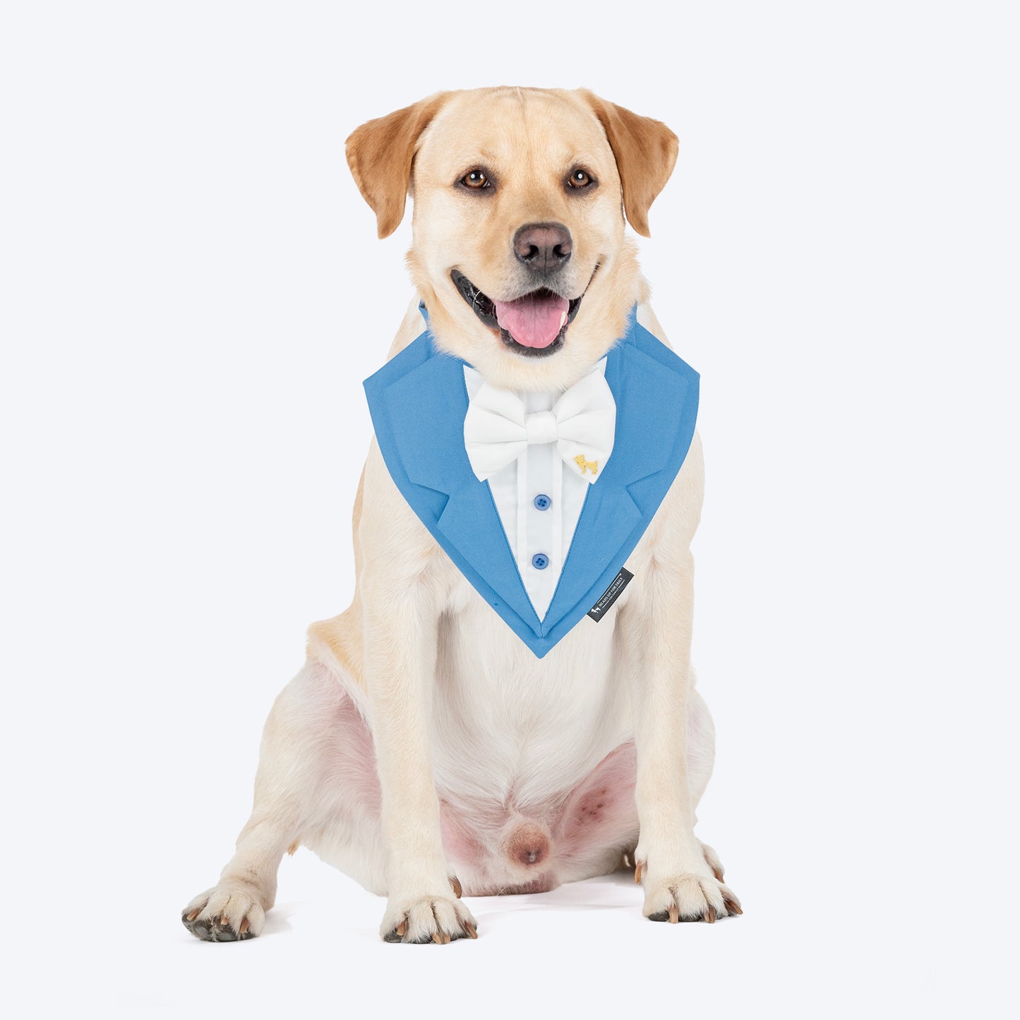 HUFT Gala Paws Tuxedo Bandana For Dog - Blue