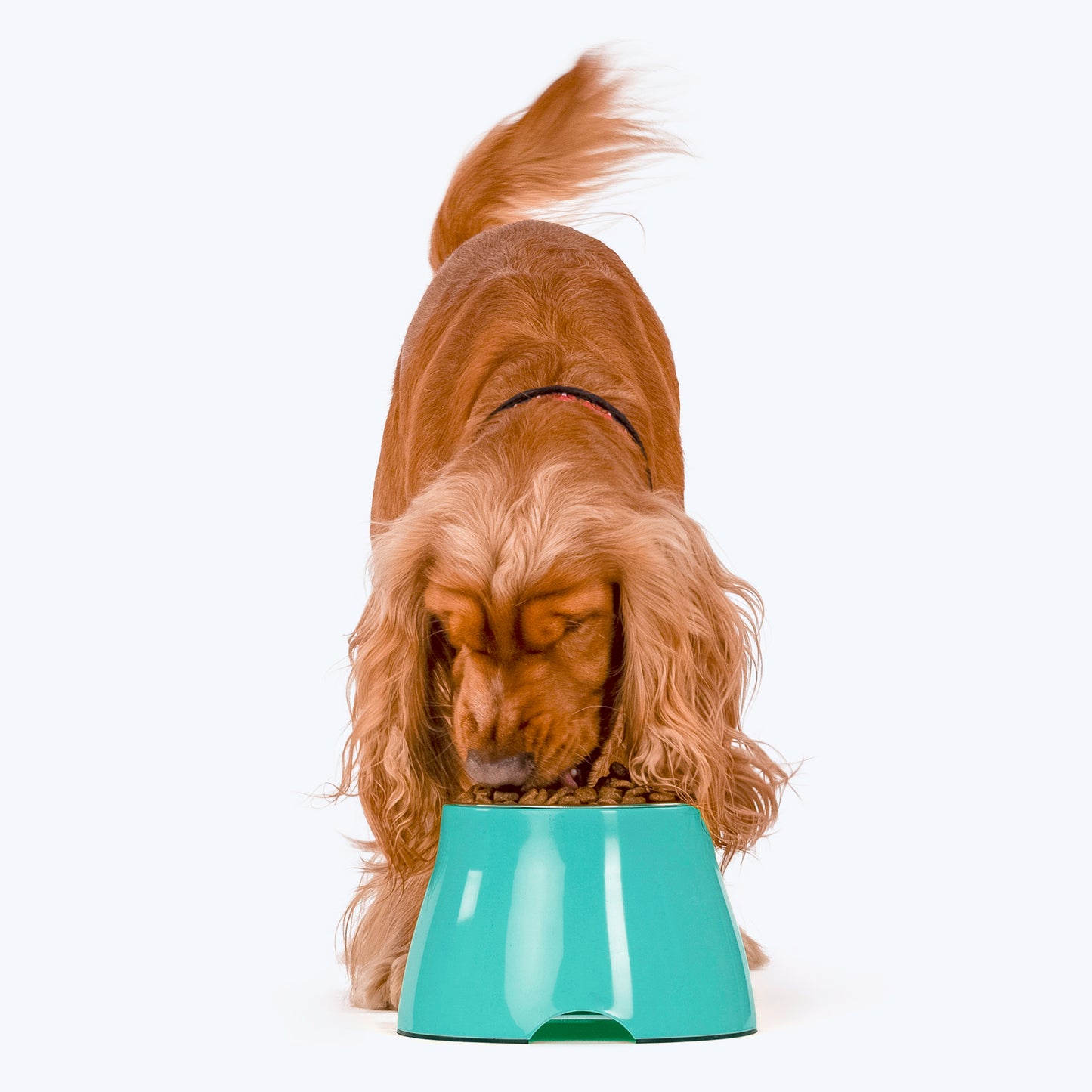 HUFT Elevated Bowl For Dogs & Cats - Aqua - Heads Up For Tails