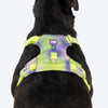 Dash Dog Neon Fusion Outdoor Ease Harness For Dog - Neon Green - Heads Up For Tails