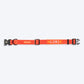 HUFT Personalised Classic Dog Collar - Rust Orange