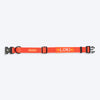 HUFT Personalised Classic Dog Collar - Rust Orange - Heads Up For Tails