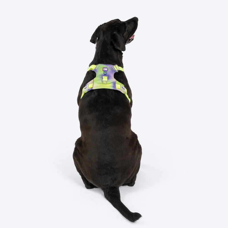 Dash Dog Neon Fusion Outdoor Ease Harness For Dog - Neon Green - Heads Up For Tails