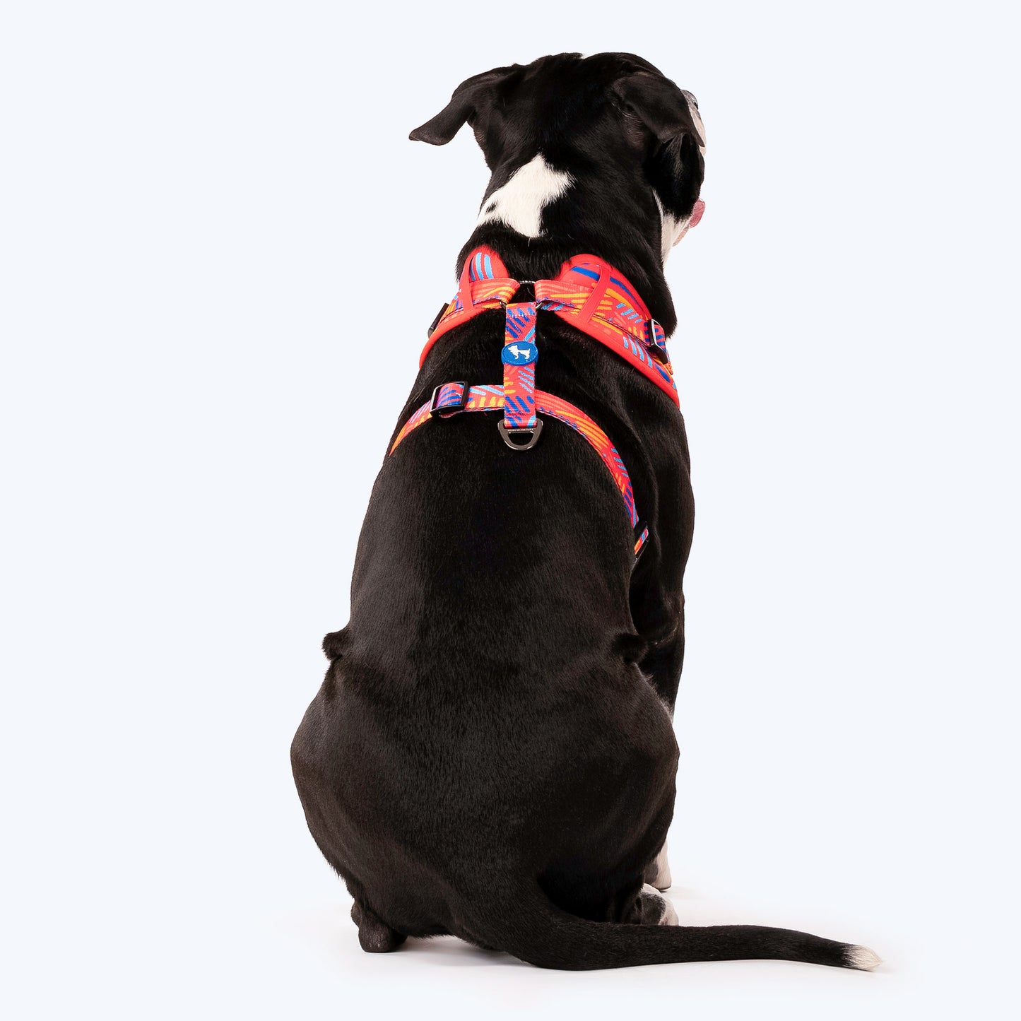 HUFT Sunset Samba Dog Adjustable Harness_03