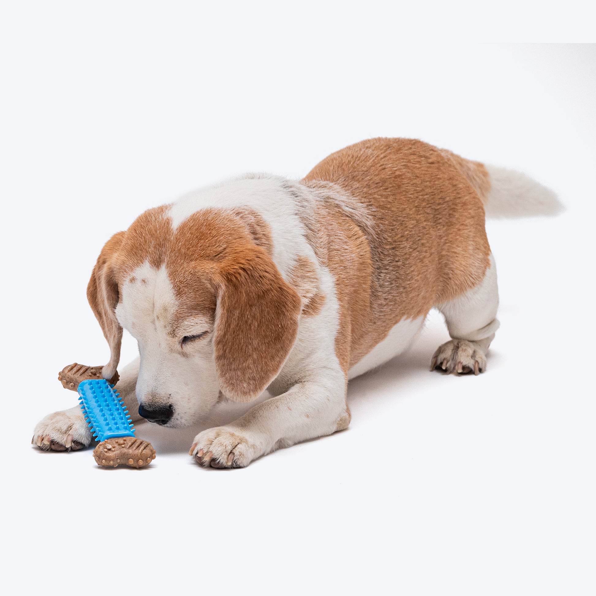 HUFT Spiky Bone Chew Toy For Dogs_05