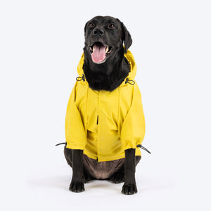 HUFT Magical Mist Raincoat With Harness Opening For Dog - Yellow - Heads Up For Tails