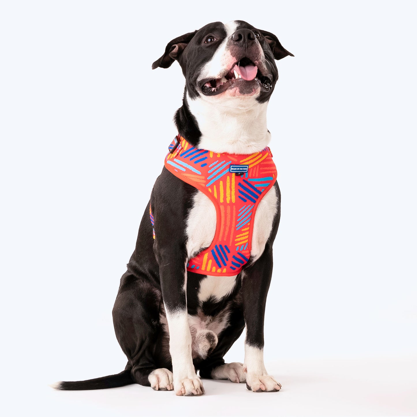 HUFT Sunset Samba Dog Adjustable Harness_01