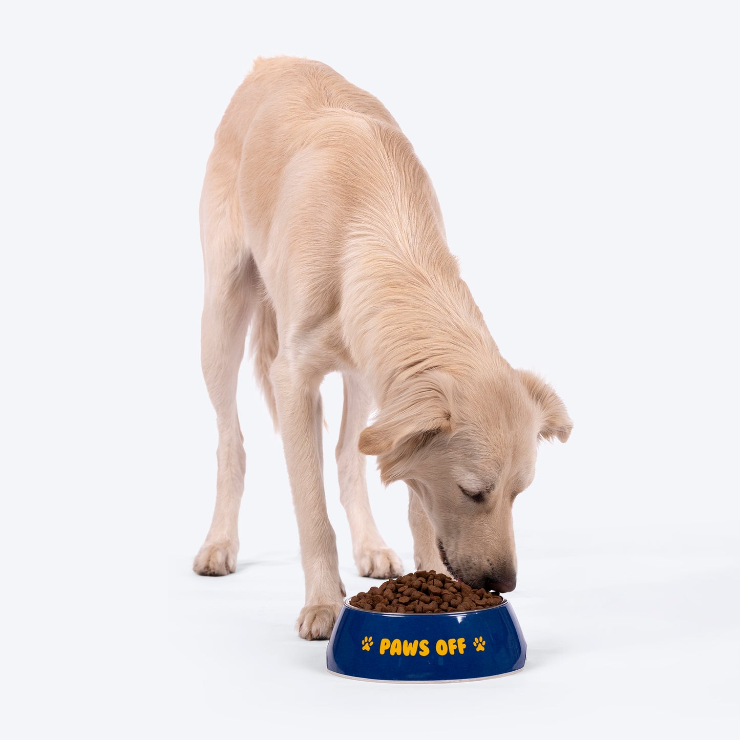 HUFT Paws Off Printed Melamine Bowl for Dogs - Blue - Heads Up For Tails