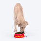 HUFT Eat Play Love Printed Melamine Bowl for Dogs - Red - Heads Up For Tails