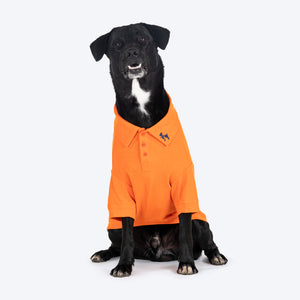 HUFT Paws Polo T-Shirt For Dog - Orange - Heads Up For Tails