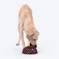 HUFT Love Struck Printed Melamine Bowl for Dogs - Navy - Heads Up For Tails