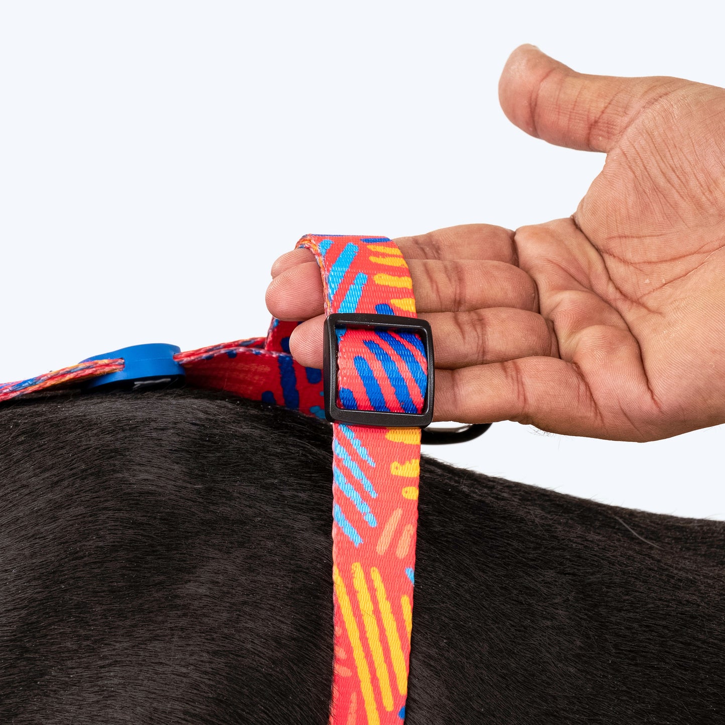 HUFT Sunset Samba Dog Adjustable Harness_07