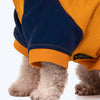 HUFT Colour Block Hoodie Sweatshirt For Pets- Mustard - Heads Up For Tails