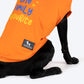 HUFT The Family Favourite T-shirts For Dog - Orange