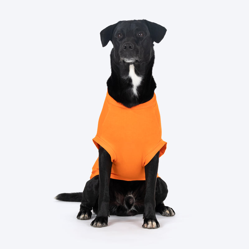 HUFT The Family Favourite T-shirts For Dog - Orange - Heads Up For Tails