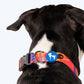 HUFT Sunset Samba Printed Dog Collar - Heads Up For Tails