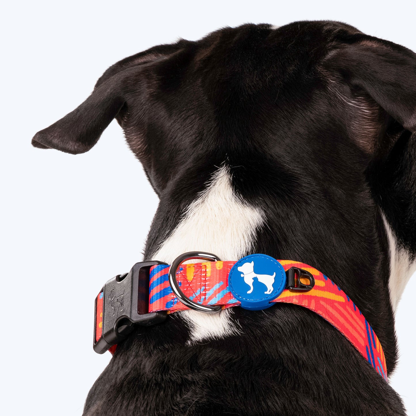 HUFT Sunset Samba Printed Dog Collar - Heads Up For Tails