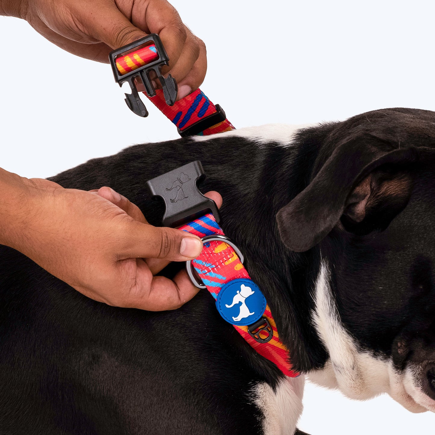 HUFT Sunset Samba Printed Dog Collar - Heads Up For Tails