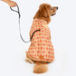 HUFT Customised Paw-tola Pawfect Brocade Sherwani For Dog - Cream