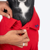 HUFT Paws Polo T-Shirt For Dog - Red - Heads Up For Tails