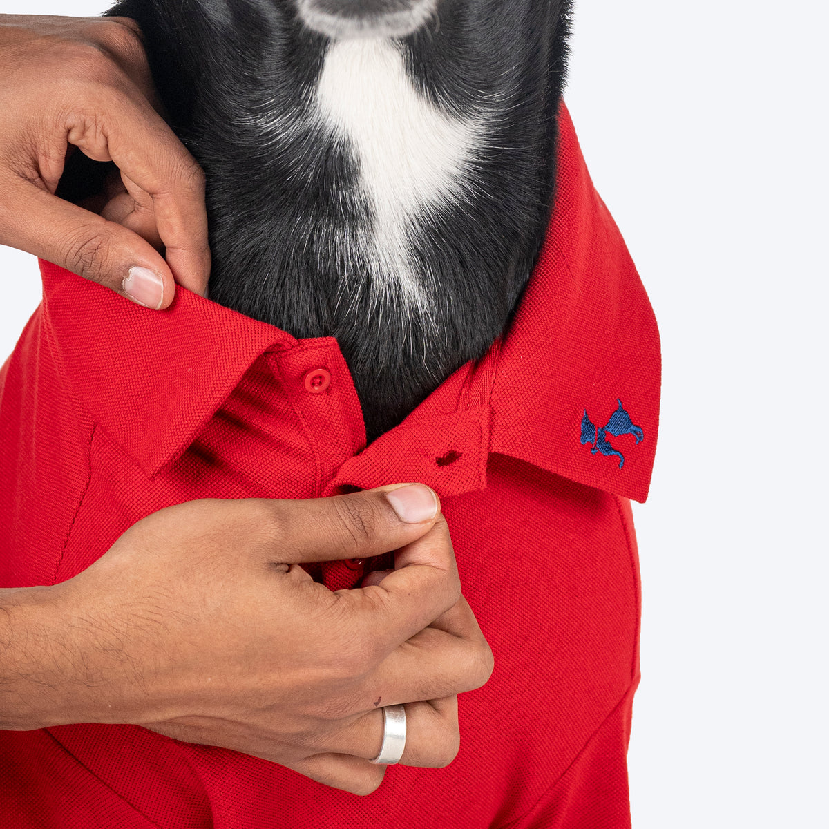 HUFT Paws Polo T-Shirt For Dog - Red - Heads Up For Tails