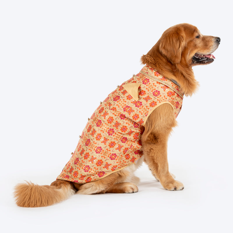 HUFT Customised Paw-tola Pawfect Brocade Sherwani For Dog - Cream - Heads Up For Tails