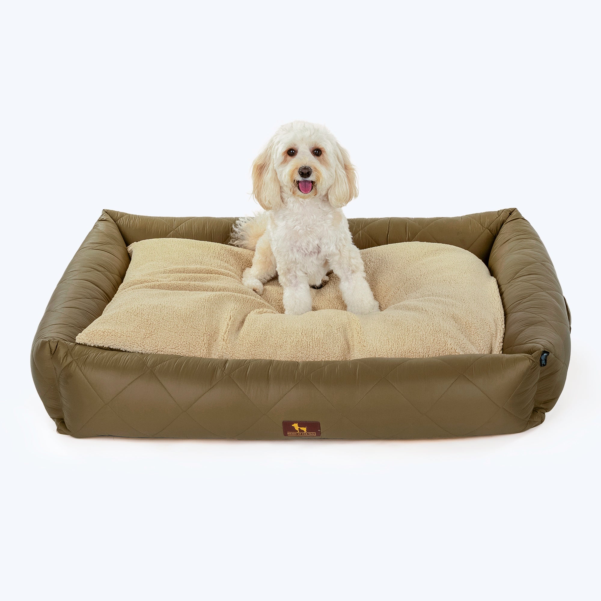 Olive green shop dog bed