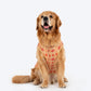 HUFT Customised Paw-tola Pawfect Brocade Sherwani For Dog - Cream