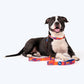 HUFT Sunset Samba Printed Dog Collar - Heads Up For Tails