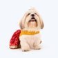 HUFT Personalised Dog Lehenga - Yellow & Red - Heads Up For Tails