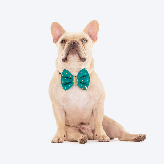 HUFT Desi Dazzle Bow Tie For Dog - Green