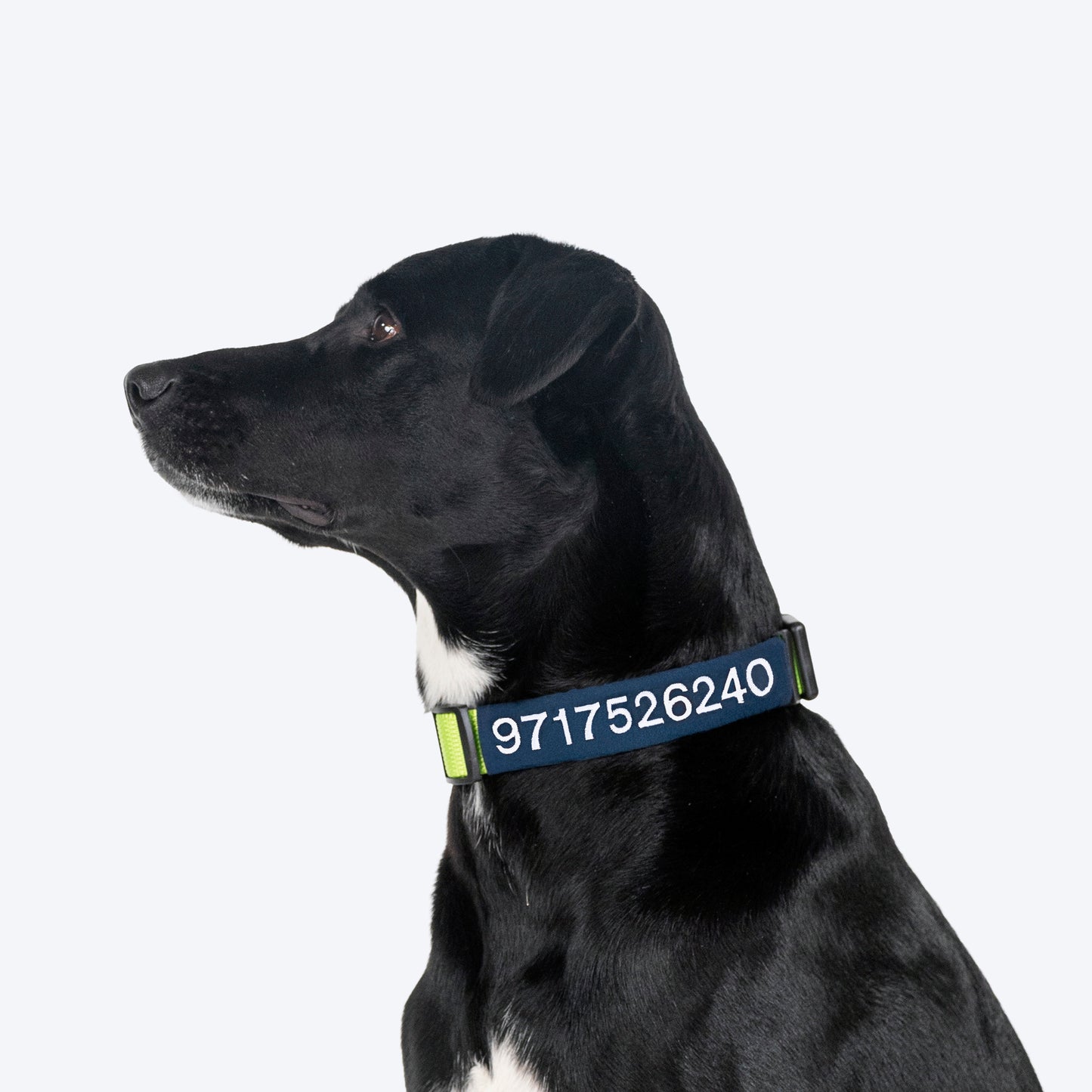 HUFT Personalised Basics (Mobile No.) Dog Collar - Neon Green