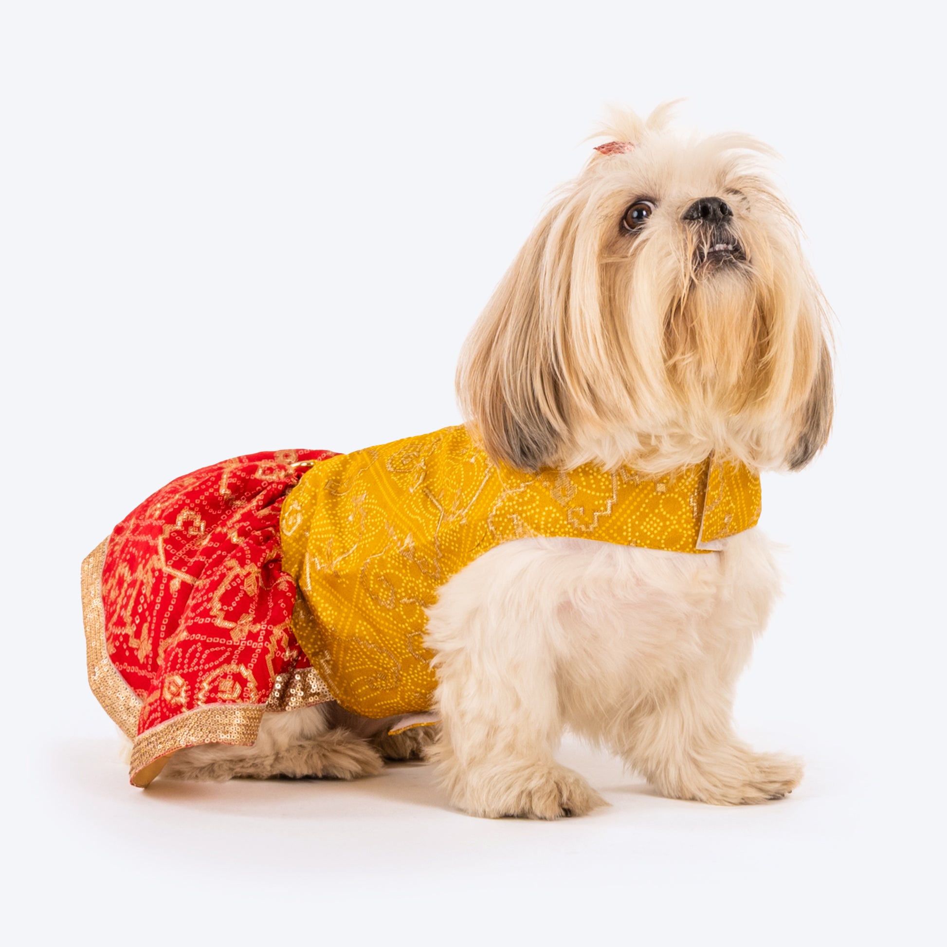 HUFT Personalised Dog Lehenga - Yellow & Red - Heads Up For Tails