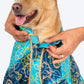 HUFT Festive Bliss Kurta For Dog - Blue