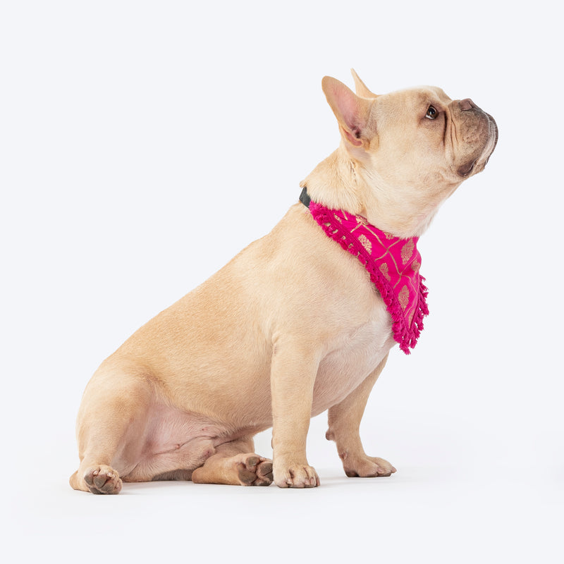 HUFT Gulabi Glow Bandana For Dog - Pink - Heads Up For Tails